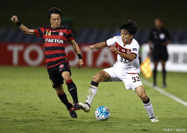 开云官网-捷克队凭借两连胜，毫无悬念晋级下一轮