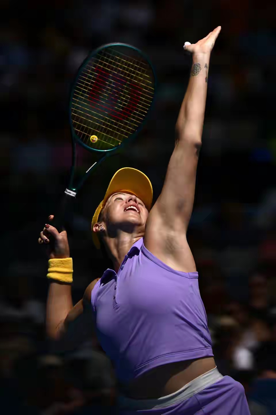 澳大利亚队员表现出色,成为焦点人物 澳大利亚队员表现出色,成为焦点人物